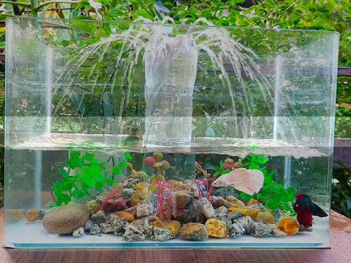 Hướng dẫn cách chế đài phun nước mini